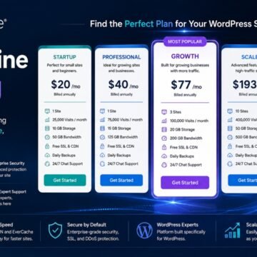 3 WP Engine Pricing